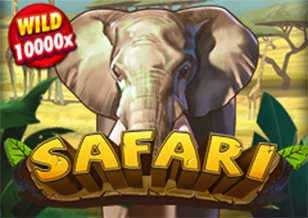 Safari - BETPLAY138